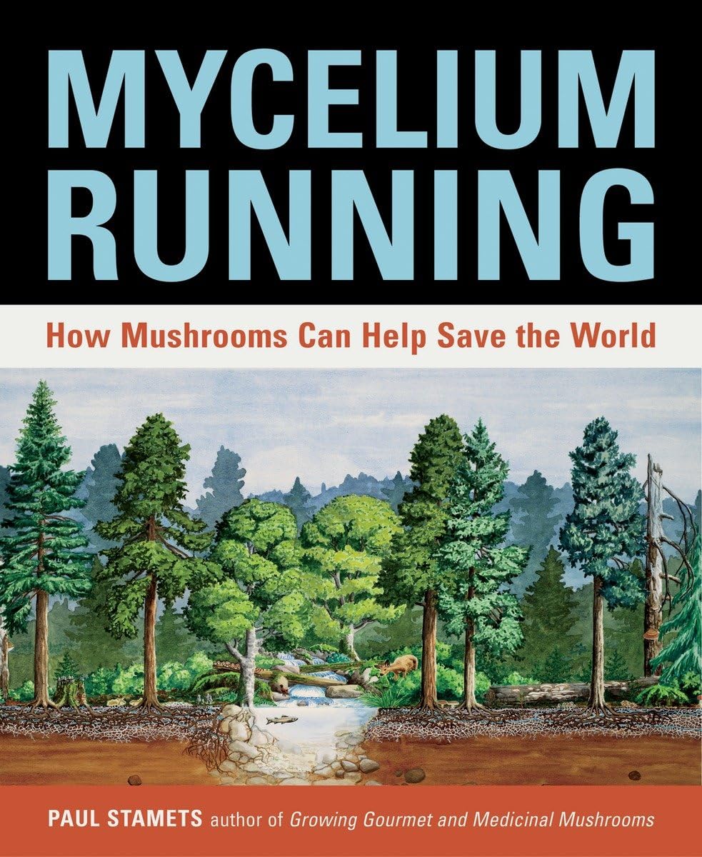 Algopix Similar Product 18 - Mycelium Running How Mushrooms Can