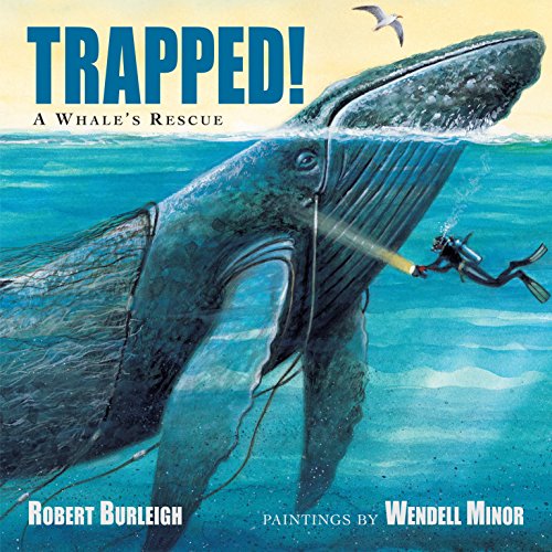 Algopix Similar Product 3 - Trapped! A Whale's Rescue