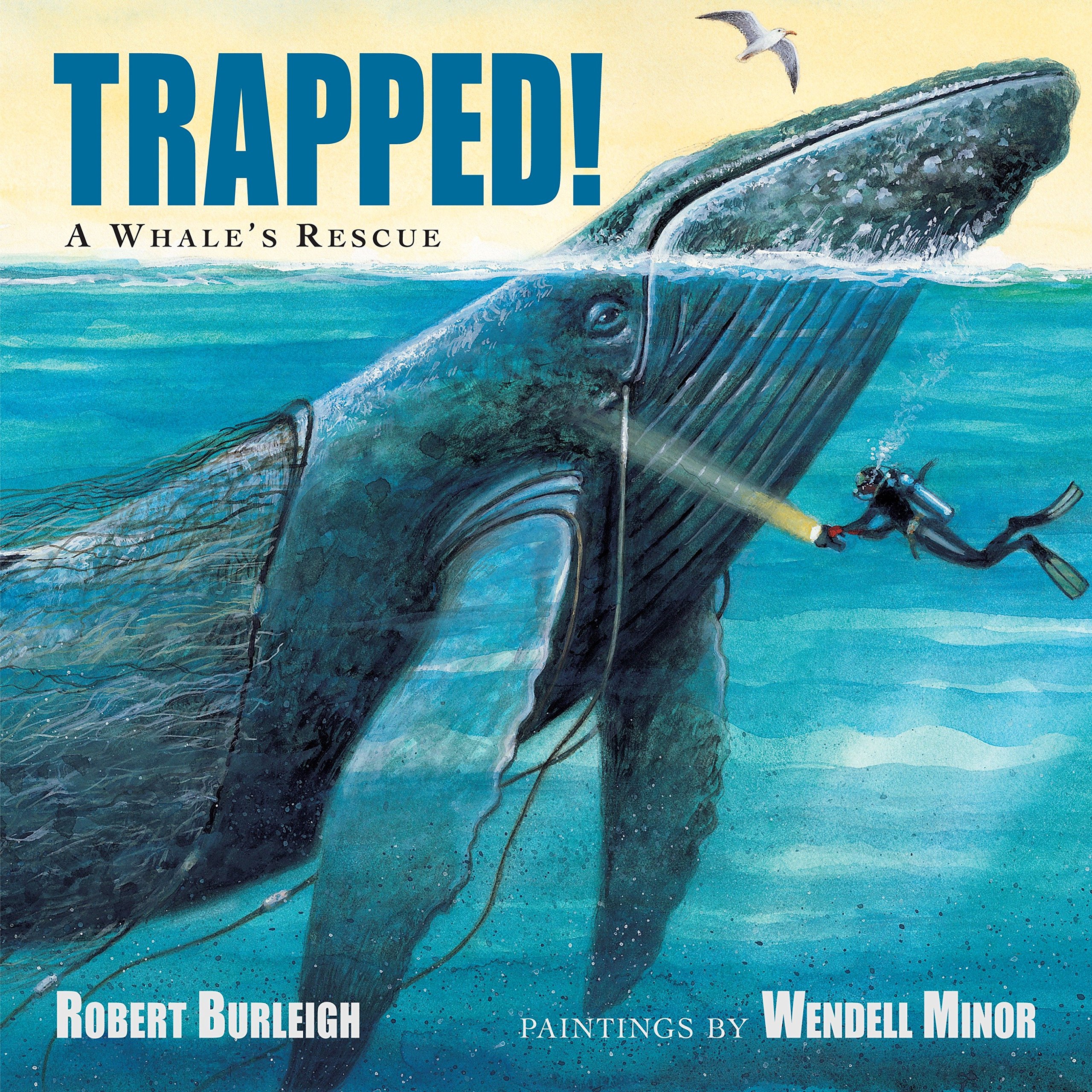 Algopix Similar Product 2 - Trapped! A Whale's Rescue