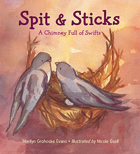Algopix Similar Product 18 - Spit & Sticks: A Chimney Full of Swifts