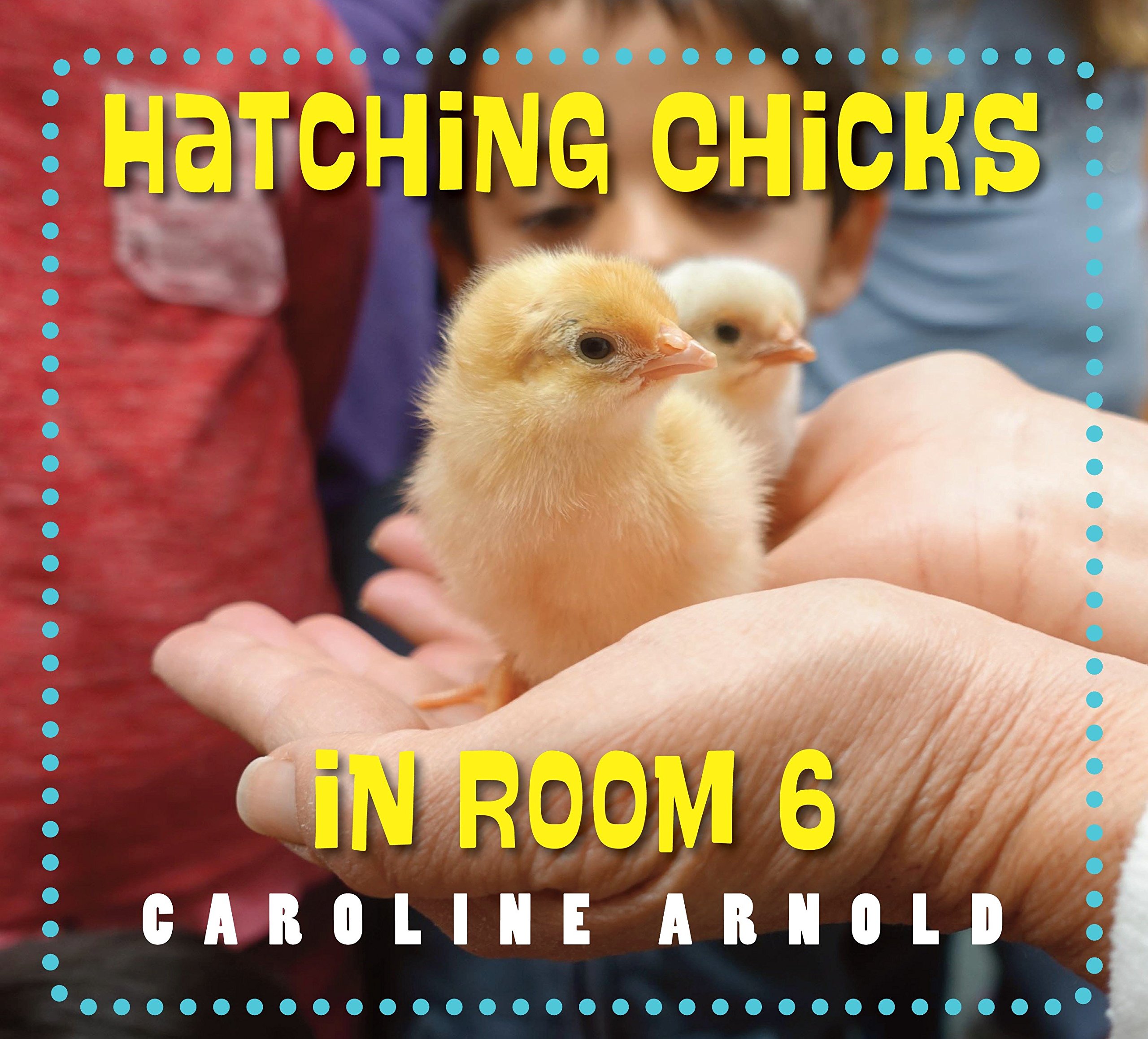 Algopix Similar Product 16 - Hatching Chicks in Room 6 Life Cycles
