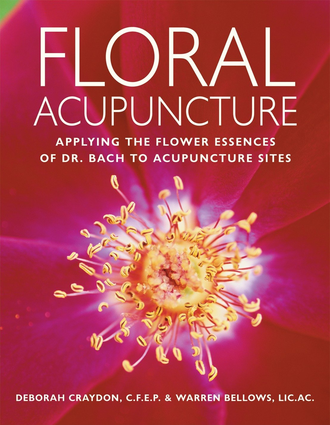 Algopix Similar Product 14 - Floral Acupuncture Applying the Flower