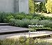 Algopix Similar Product 3 - Private Paradise Contemporary American