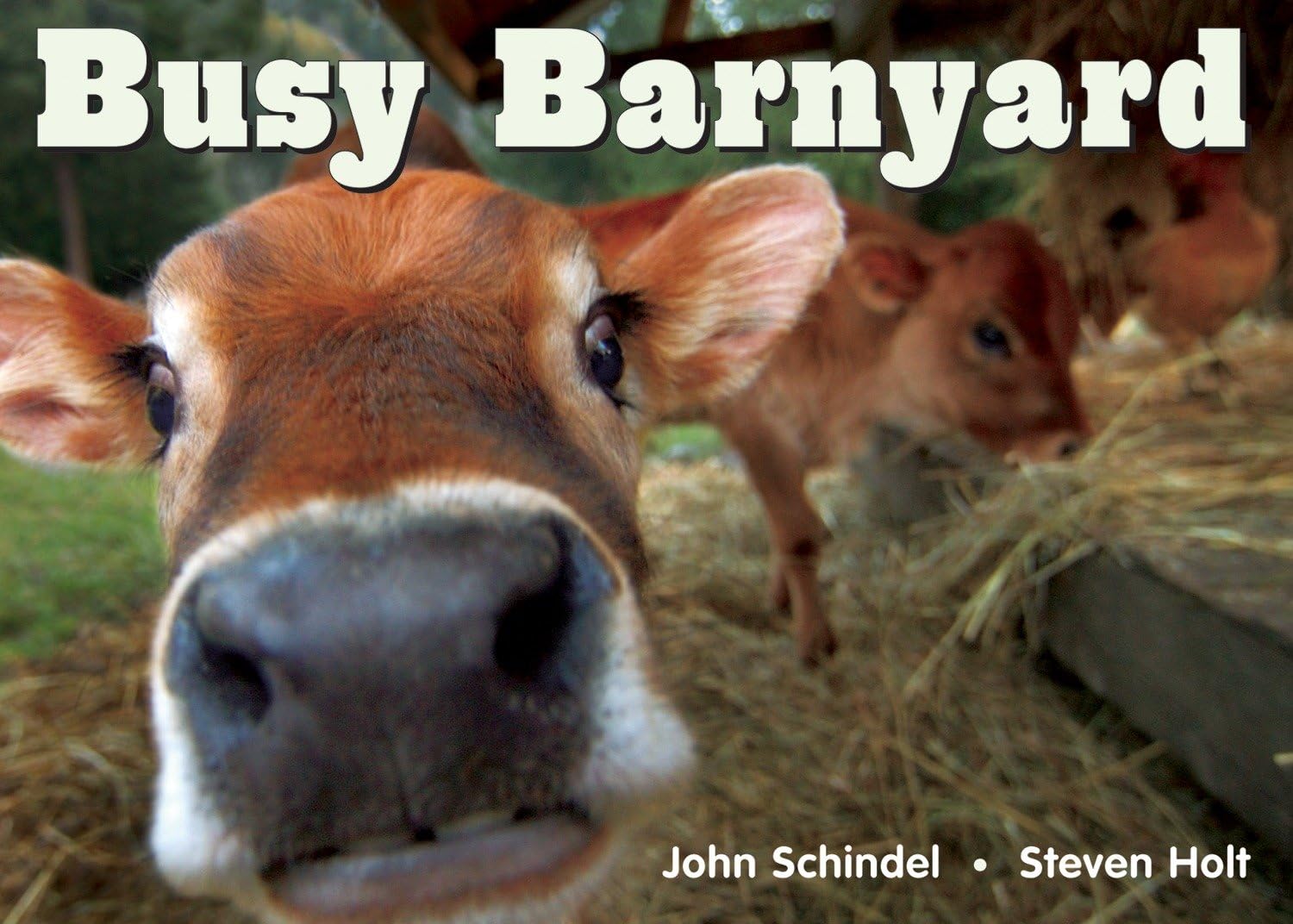 Algopix Similar Product 9 - Busy Barnyard (A Busy Book)
