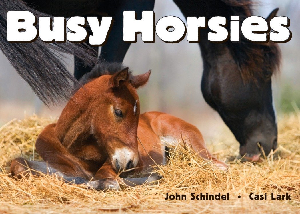 Algopix Similar Product 14 - Busy Horsies (A Busy Book)