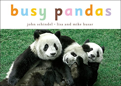 Algopix Similar Product 19 - Busy Pandas (A Busy Book)