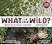 Algopix Similar Product 8 - What in the Wild Mysteries of Nature