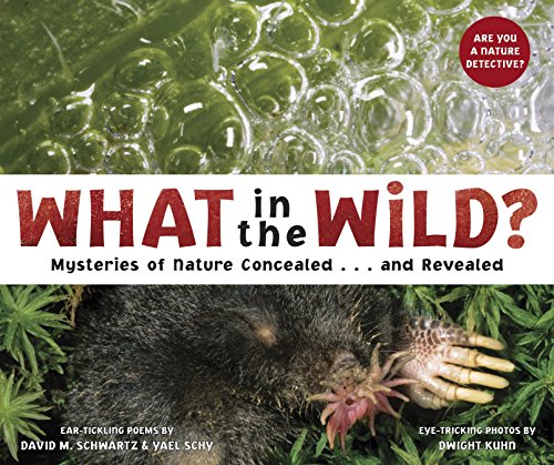 Algopix Similar Product 14 - What in the Wild Mysteries of Nature