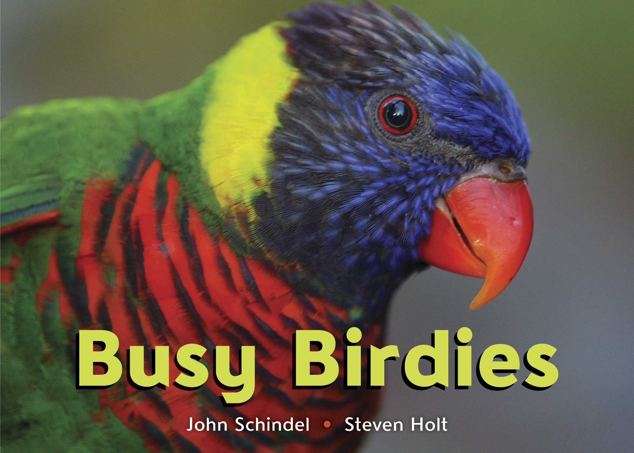 Algopix Similar Product 7 - Busy Birdies (A Busy Book)
