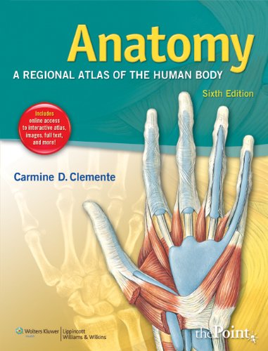Algopix Similar Product 19 - Anatomy A Regional Atlas of the Human
