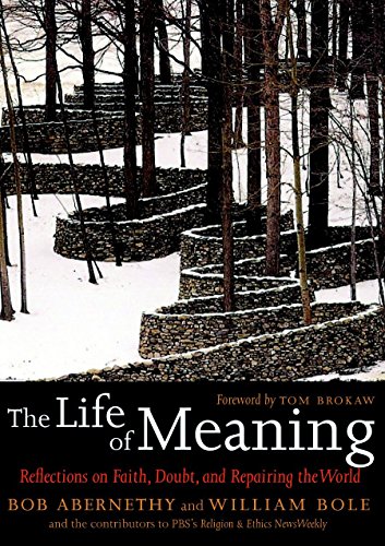 Algopix Similar Product 19 - The Life of Meaning Reflections on