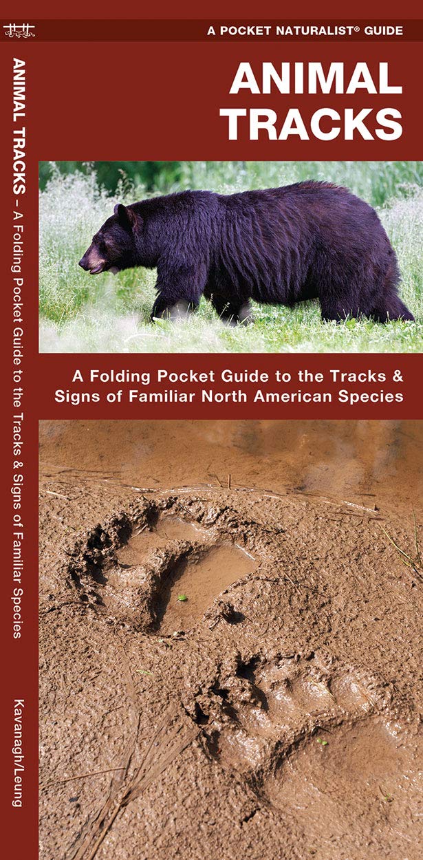 Algopix Similar Product 14 - Animal Tracks A Folding Pocket Guide