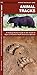 Algopix Similar Product 7 - Animal Tracks A Folding Pocket Guide