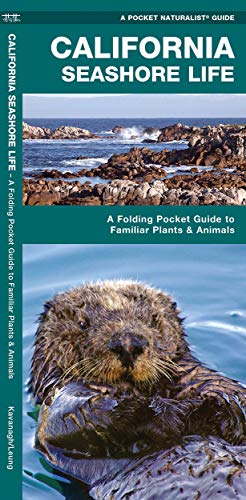 Algopix Similar Product 12 - California Seashore Life A Folding
