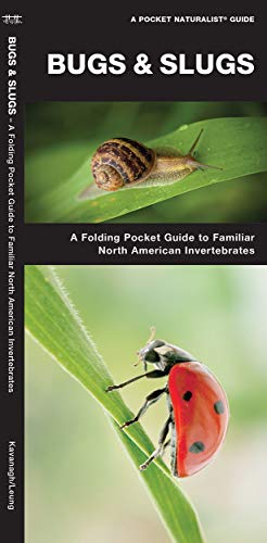 Algopix Similar Product 4 - Bugs  Slugs A Folding Pocket Guide to