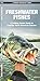 Algopix Similar Product 20 - Freshwater Fishes Nature Observation