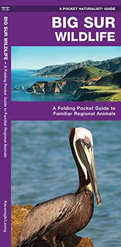 Algopix Similar Product 17 - Big Sur Wildlife A Folding Pocket