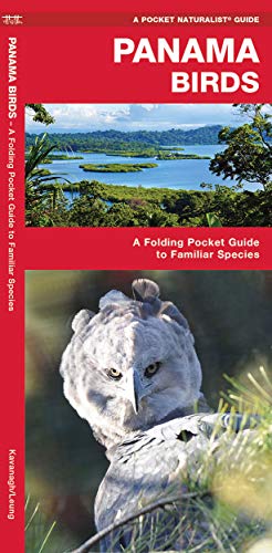 Algopix Similar Product 3 - Panama Birds A Folding Pocket Guide to