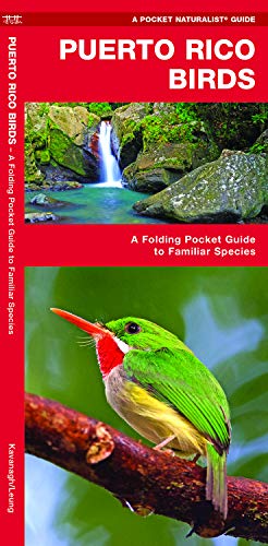Algopix Similar Product 10 - Puerto Rico Birds A Folding Pocket