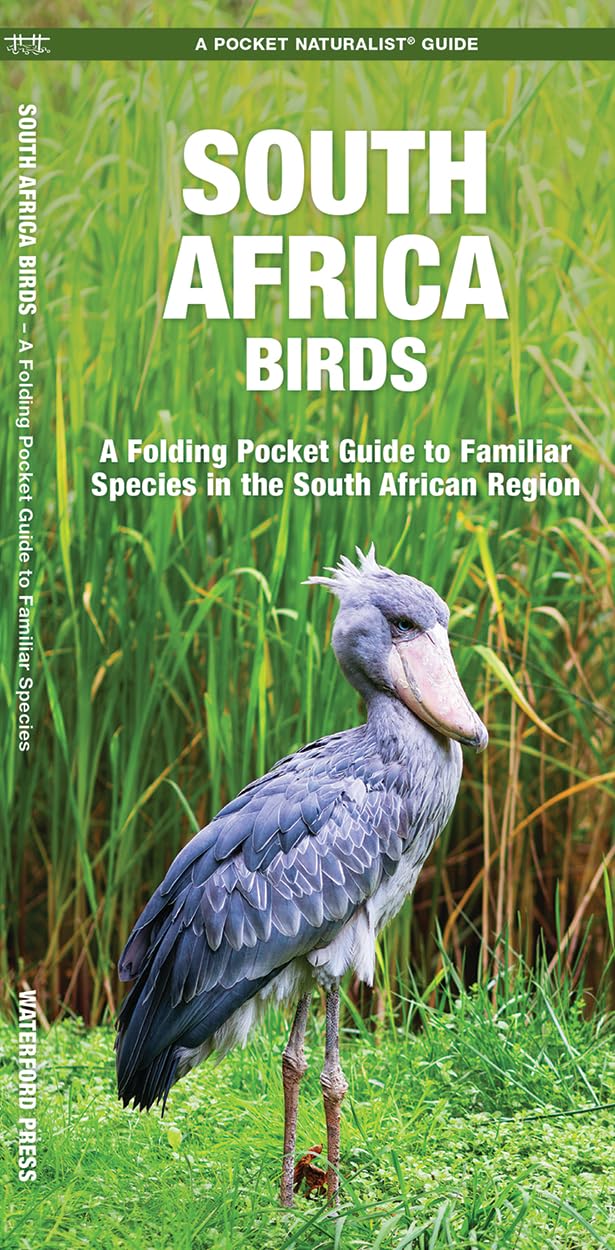 Algopix Similar Product 16 - South Africa Birds A Folding Pocket