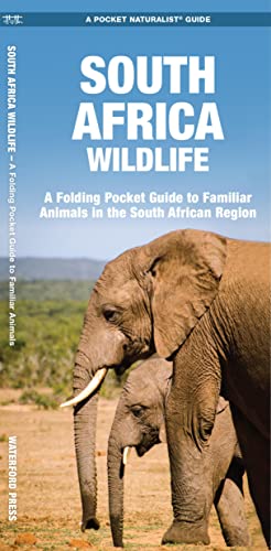 Algopix Similar Product 16 - South Africa Wildlife A Folding Pocket