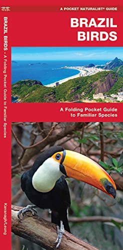 Algopix Similar Product 19 - Brazil Birds A Folding Pocket Guide to