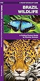 Algopix Similar Product 9 - Brazil Wildlife A Folding Pocket Guide