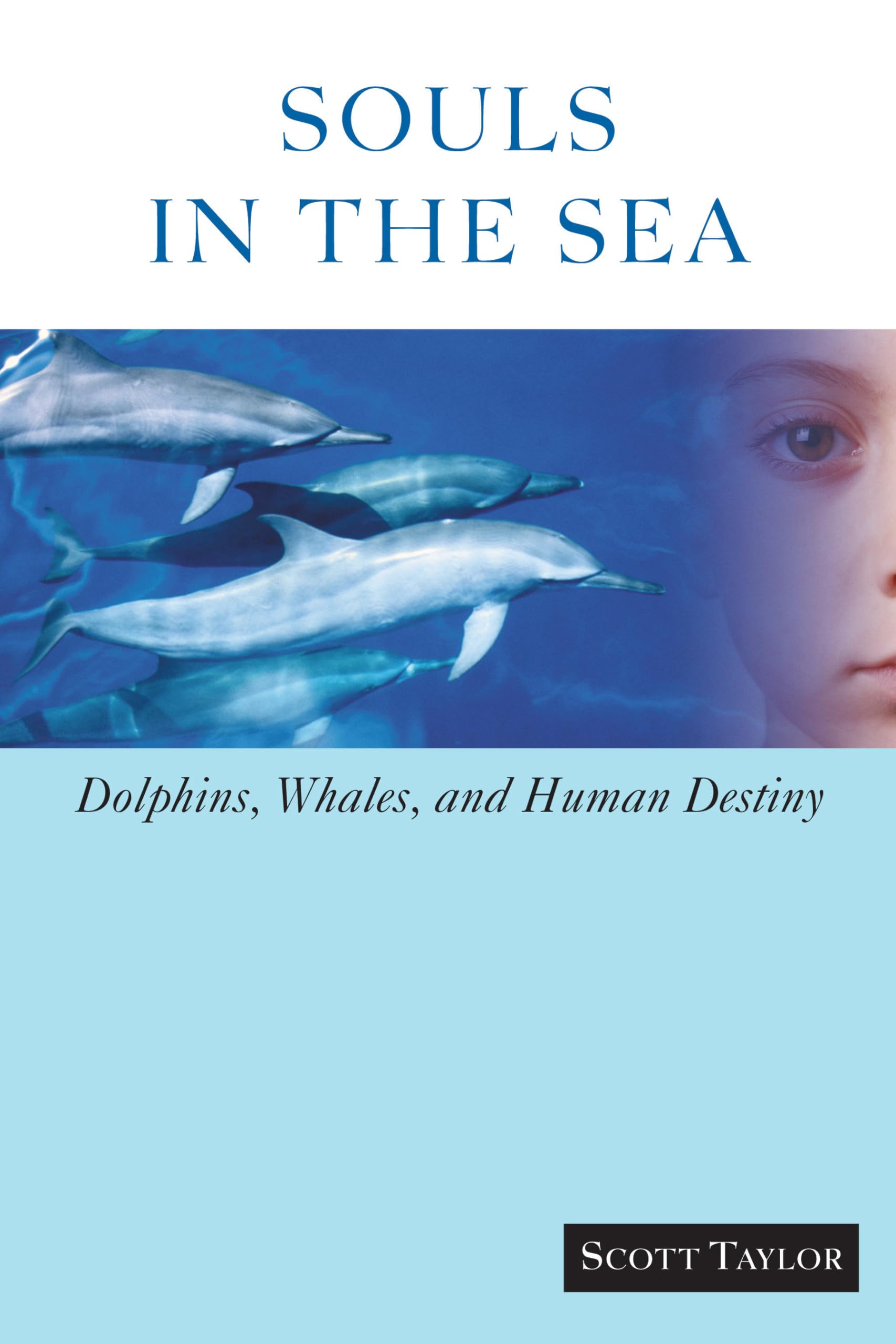 Algopix Similar Product 15 - Souls in the Sea Dolphins Whales and