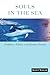 Algopix Similar Product 10 - Souls in the Sea Dolphins Whales and
