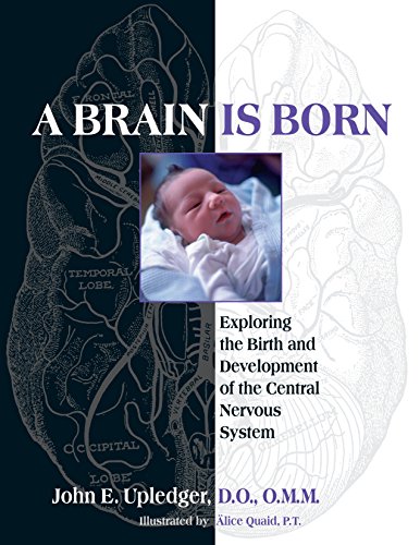 Algopix Similar Product 5 - A Brain Is Born Exploring the Birth