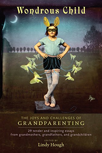 Algopix Similar Product 5 - Wondrous Child The Joys and Challenges