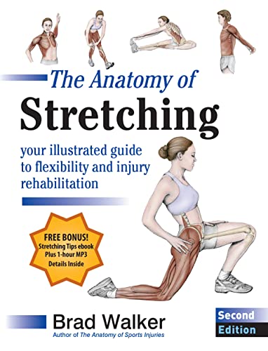 Algopix Similar Product 8 - The Anatomy of Stretching Second