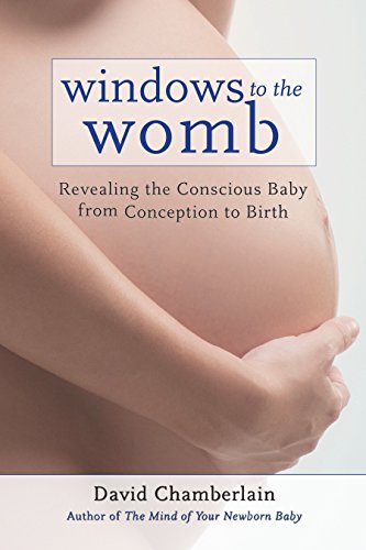 Algopix Similar Product 13 - Windows to the Womb Revealing the