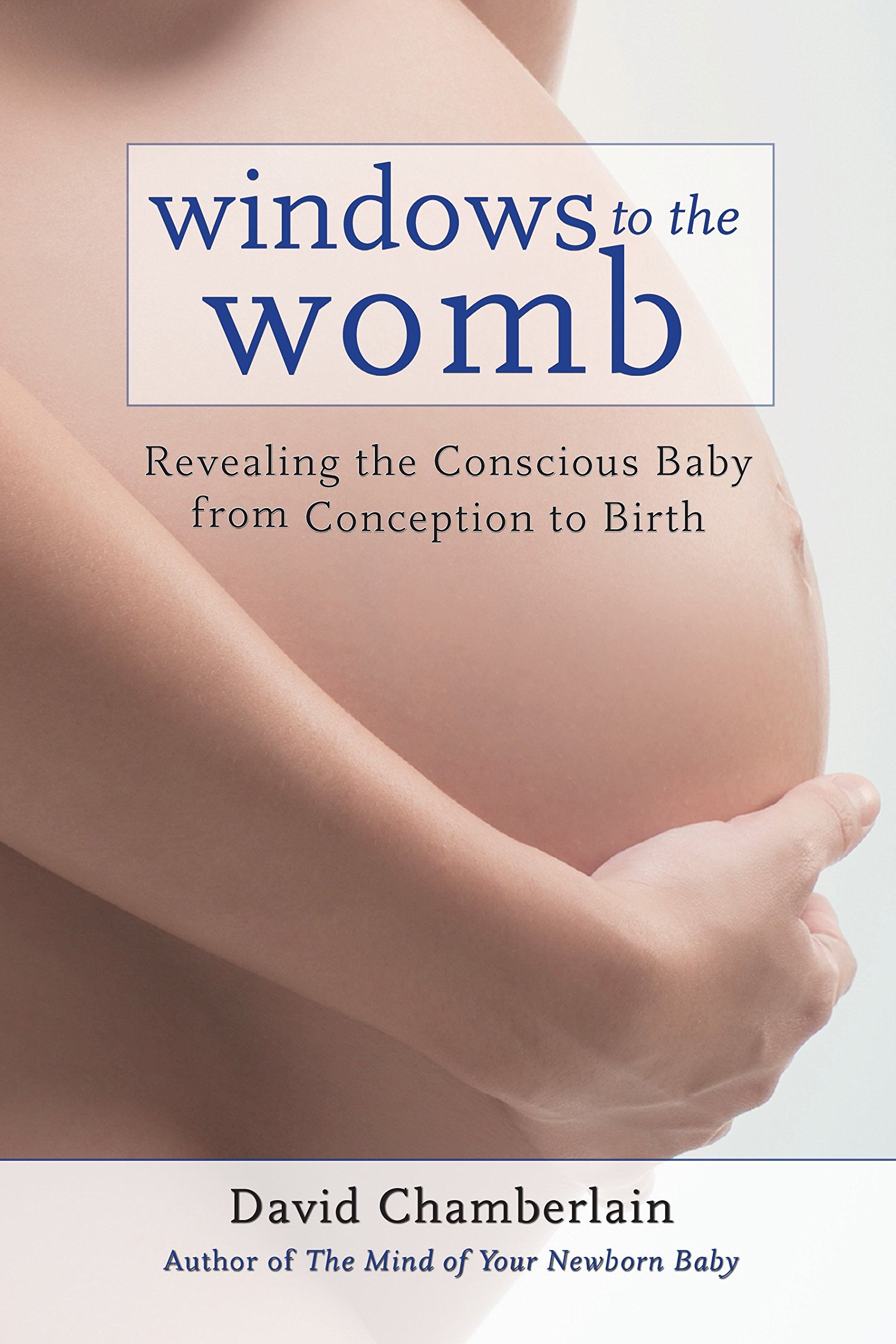 Algopix Similar Product 4 - Windows to the Womb Revealing the