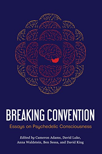 Algopix Similar Product 17 - Breaking Convention Essays on