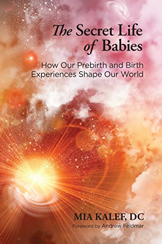 Algopix Similar Product 20 - The Secret Life of Babies How Our