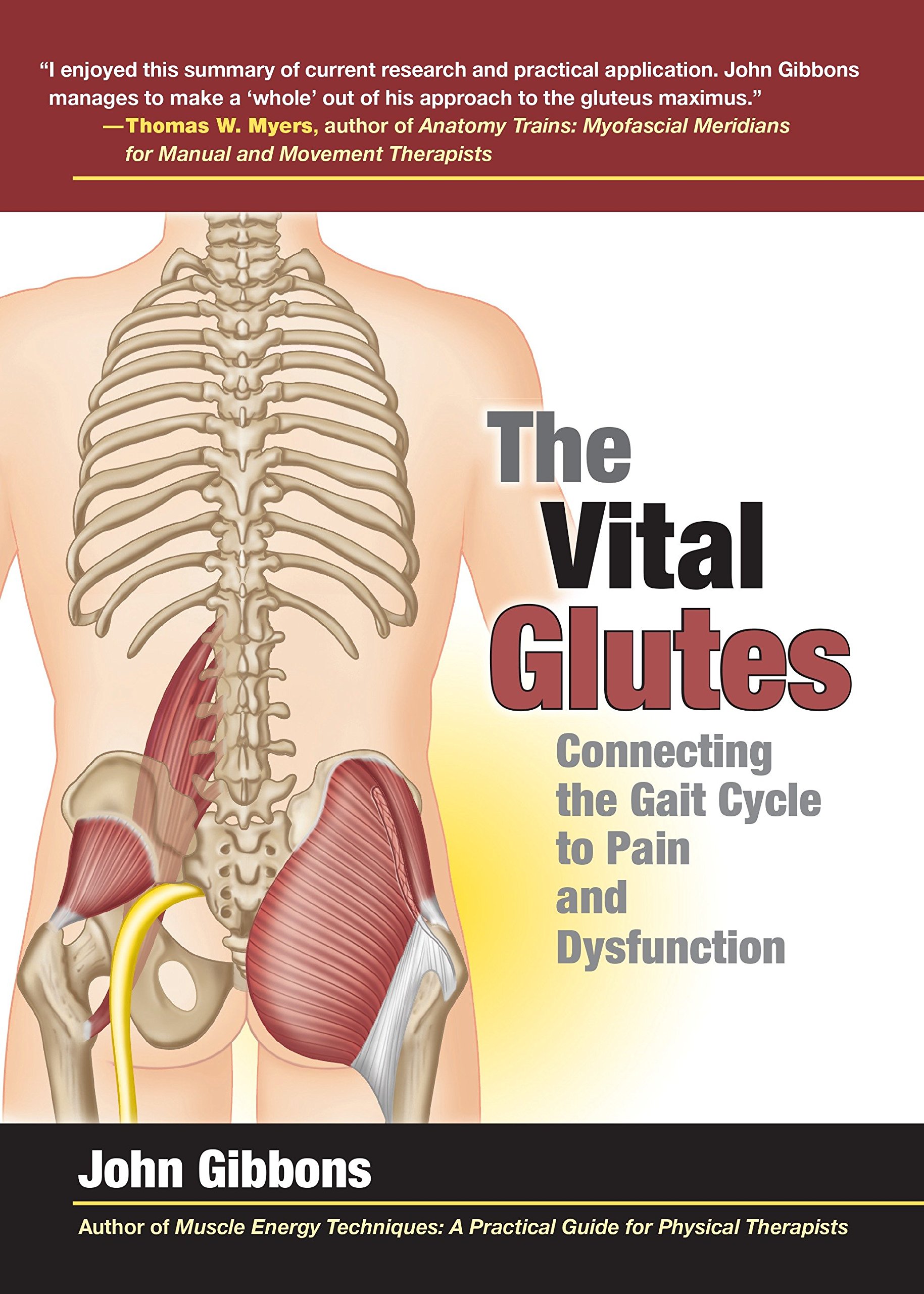 Algopix Similar Product 20 - The Vital Glutes Connecting the Gait