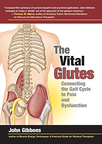 Algopix Similar Product 9 - The Vital Glutes Connecting the Gait