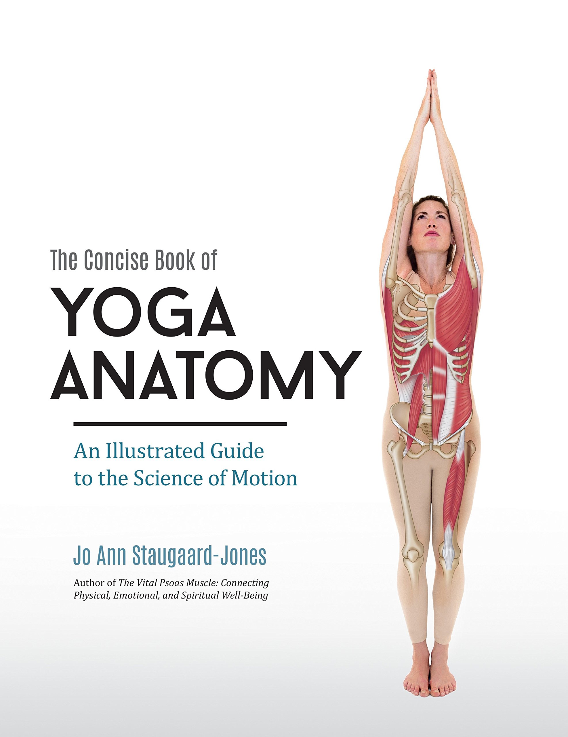 Algopix Similar Product 9 - The Concise Book of Yoga Anatomy An