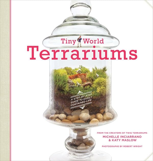 Algopix Similar Product 13 - Tiny World Terrariums A StepbyStep