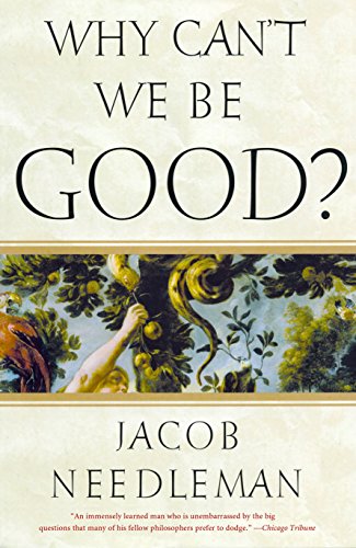 Algopix Similar Product 7 - Why Can't We Be Good?