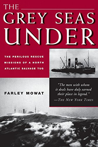 Algopix Similar Product 5 - The Grey Seas Under The Perilous