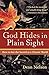 Algopix Similar Product 5 - God Hides in Plain Sight How to See