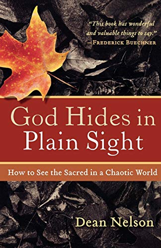 Algopix Similar Product 12 - God Hides in Plain Sight How to See