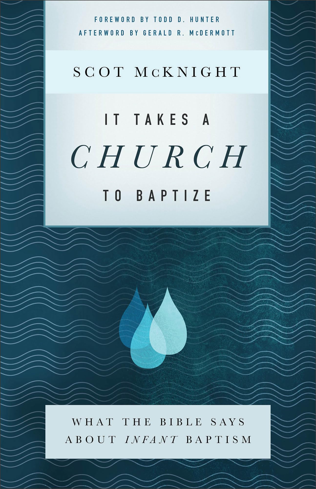 Algopix Similar Product 14 - It Takes a Church to Baptize