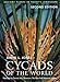 Algopix Similar Product 12 - Cycads of the World Ancient Plants in