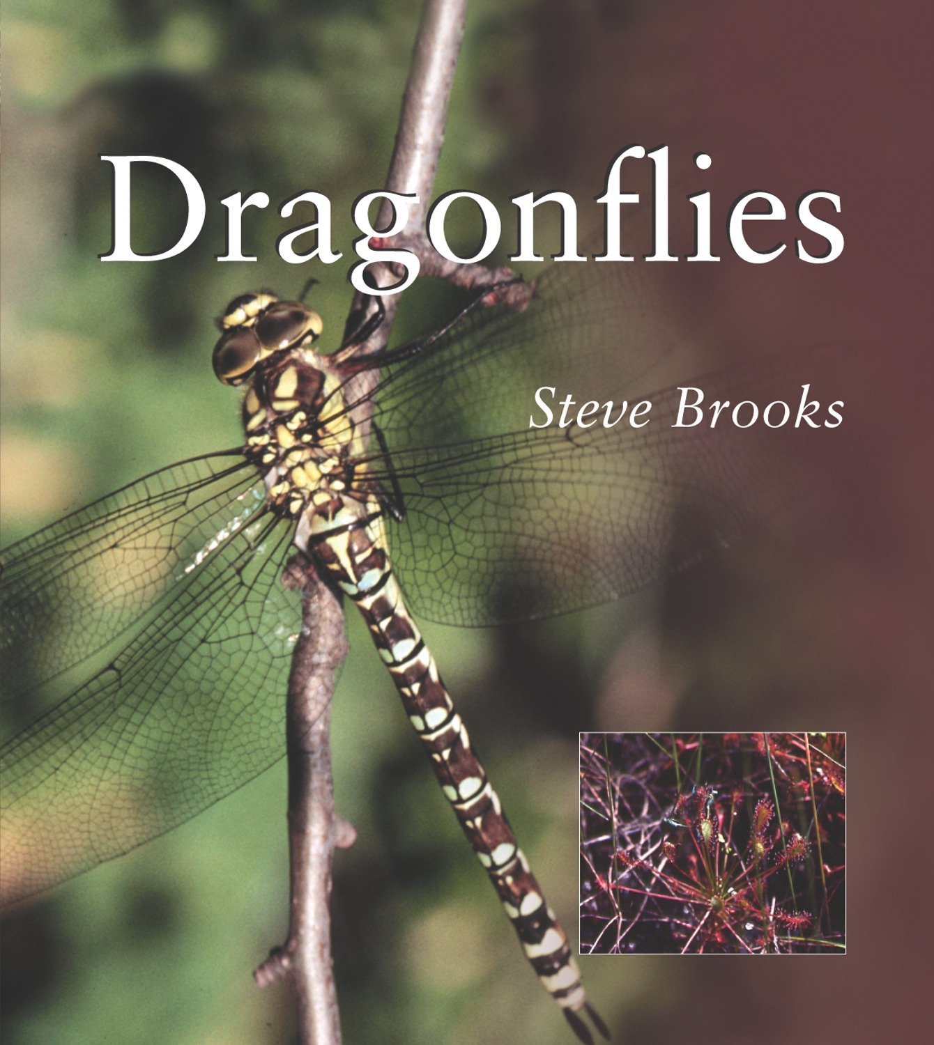 Algopix Similar Product 16 - Dragonflies Smithsonians Natural