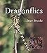 Algopix Similar Product 4 - Dragonflies Smithsonians Natural