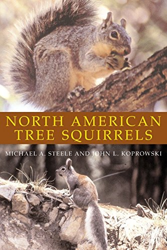 Algopix Similar Product 7 - North American Tree Squirrels