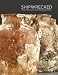 Algopix Similar Product 8 - Shipwrecked Tang Treasures and Monsoon